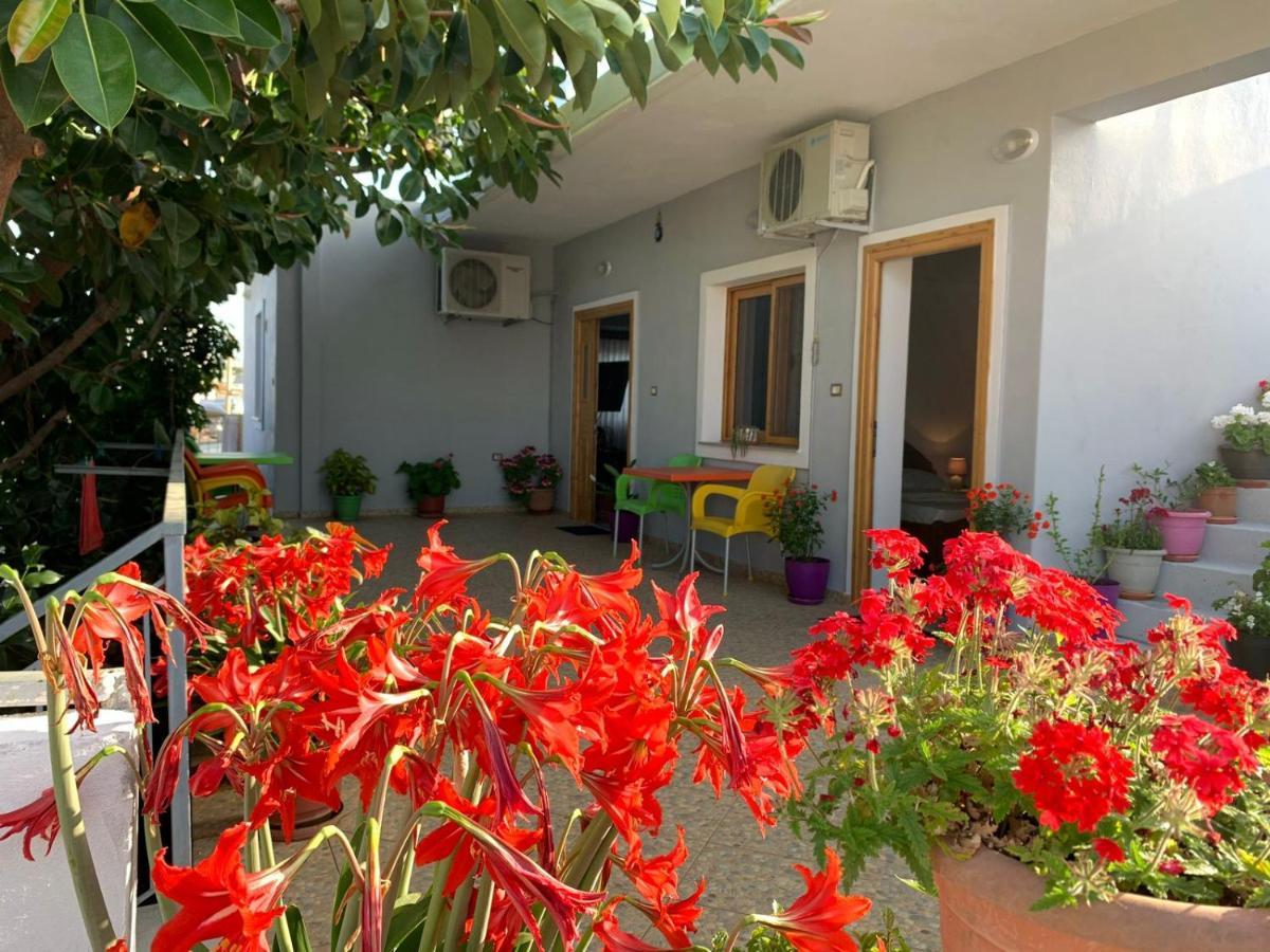 Albi'S Guesthouse Ксамил Екстериор снимка