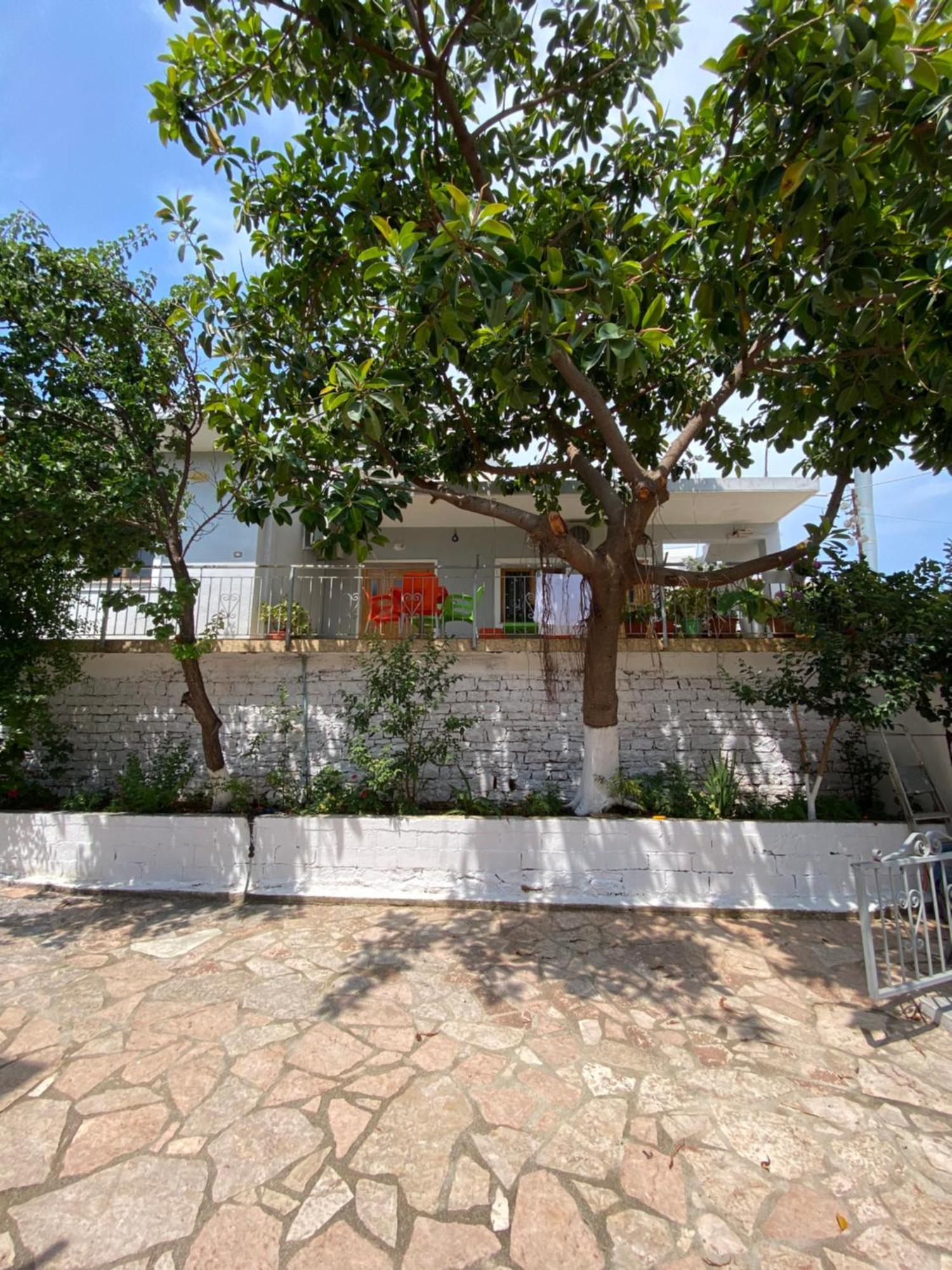 Albi'S Guesthouse Ксамил Екстериор снимка