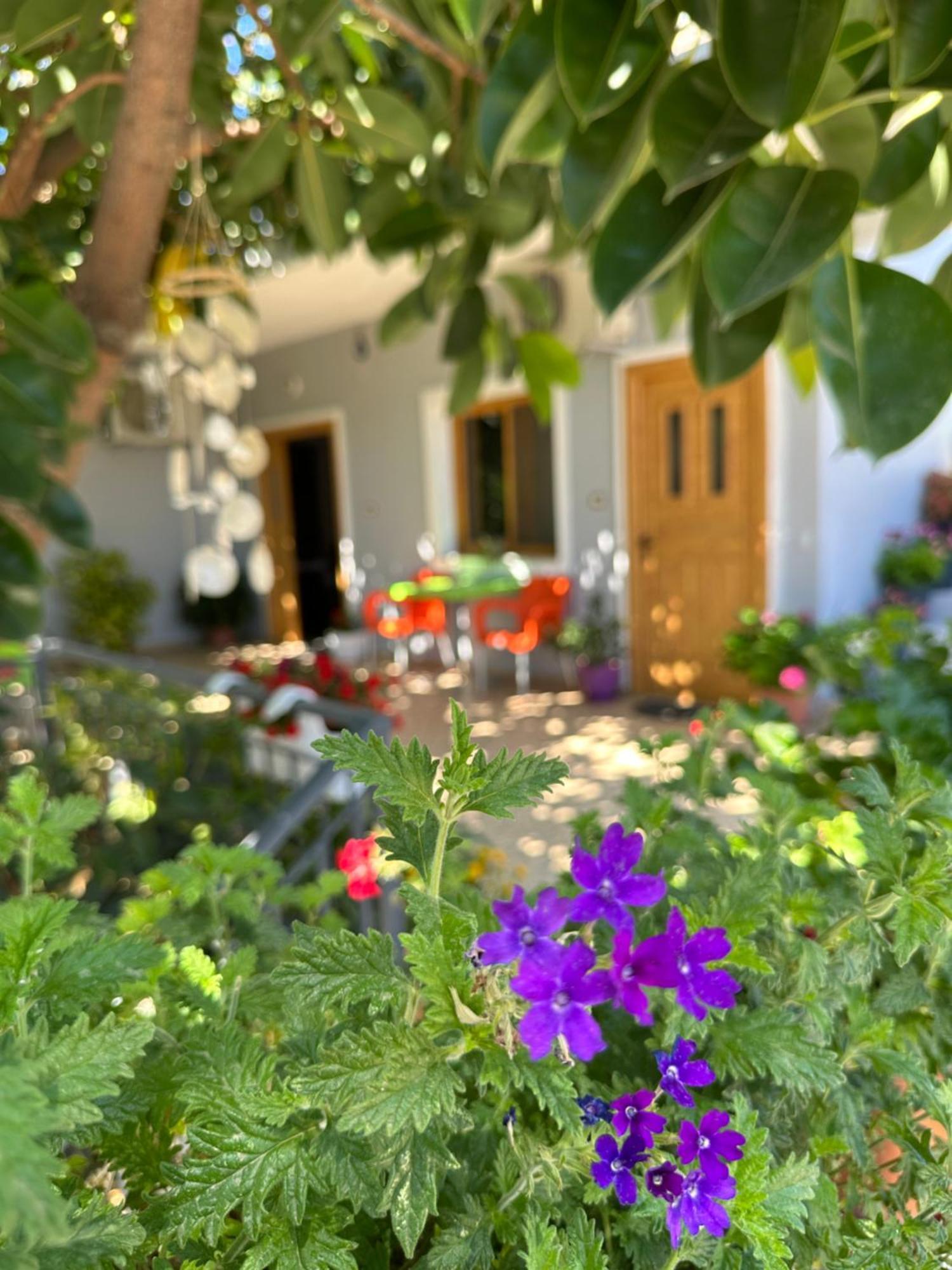 Albi'S Guesthouse Ксамил Екстериор снимка