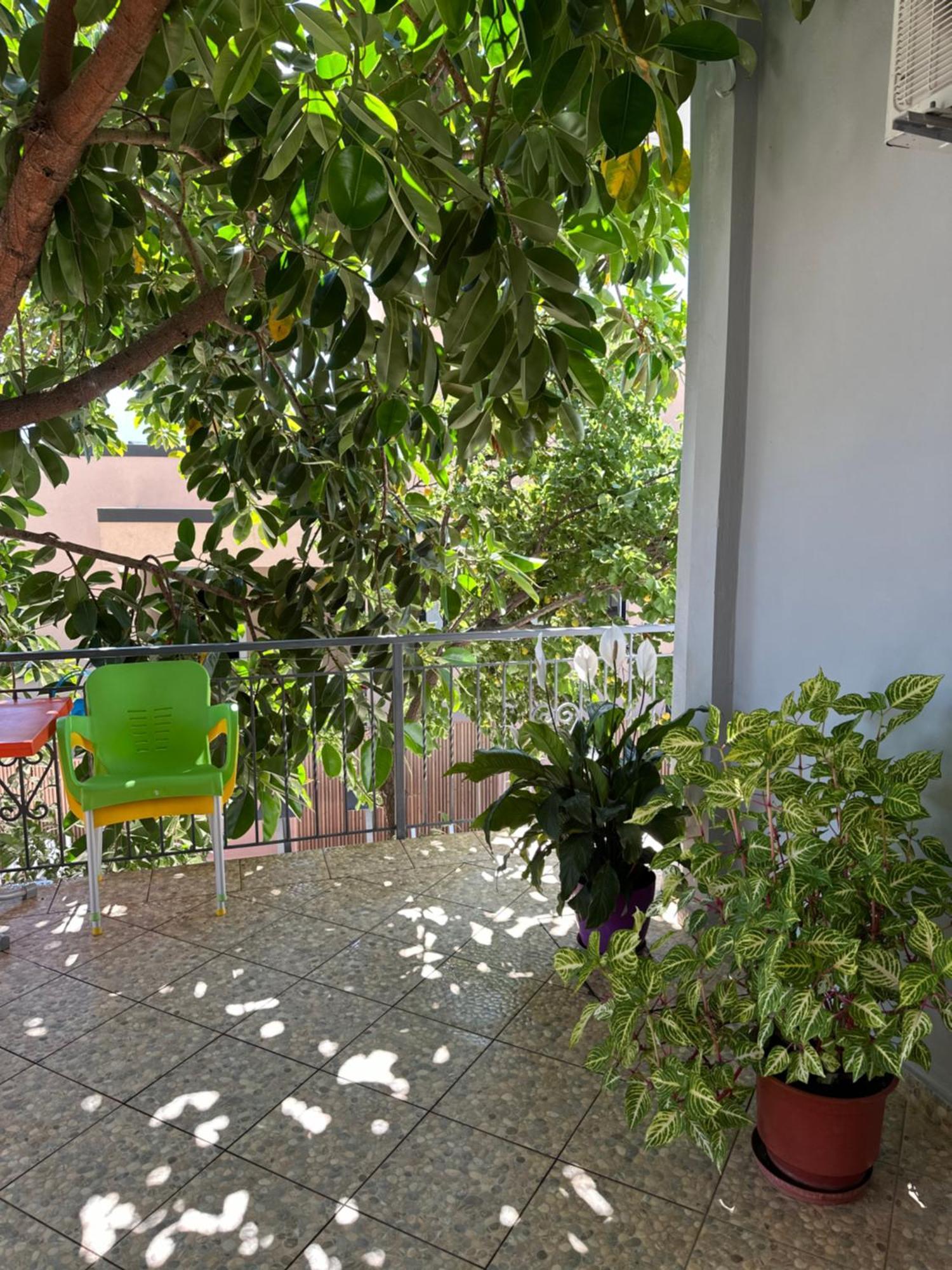 Albi'S Guesthouse Ксамил Екстериор снимка