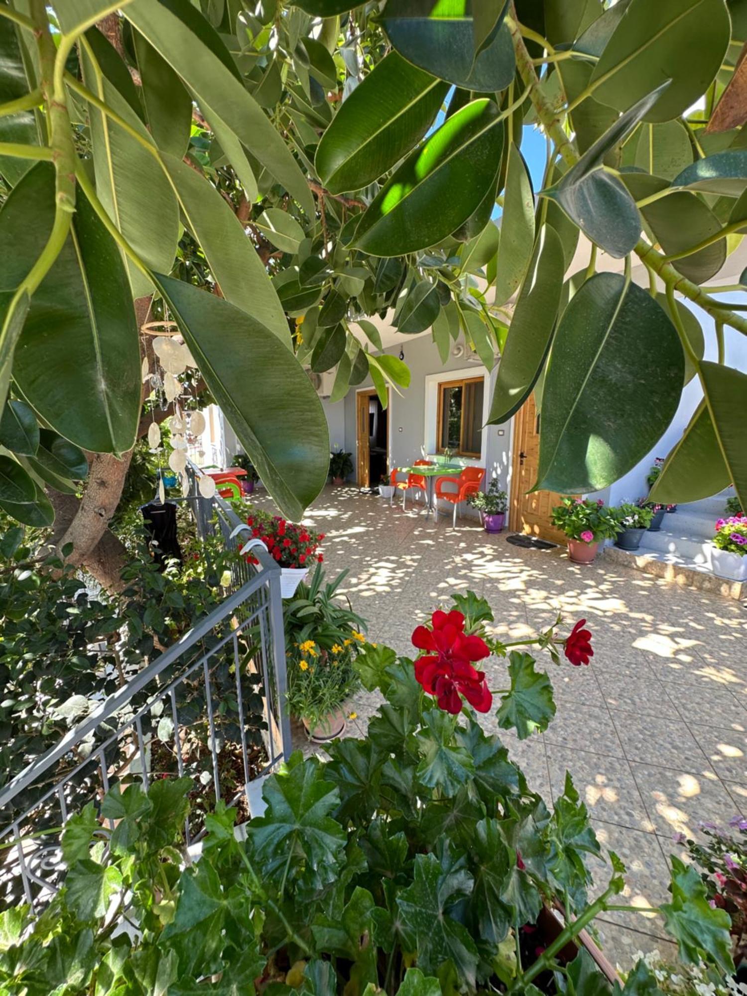 Albi'S Guesthouse Ксамил Екстериор снимка